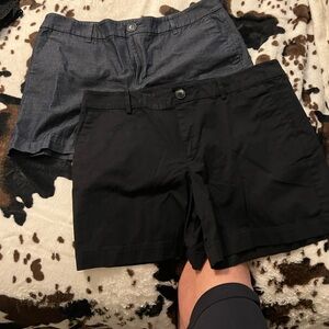 Ann Taylor short lot